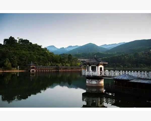 小儿吃什么菜对脾胃好-中医科普文章