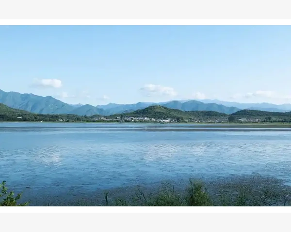 女人补气血泡水饮品推荐，让你焕发活力