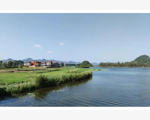 如何在湿热天气中合理饮食？寒食物或许是个好选择